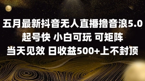 2025五月最新无人直播撸音浪单日产出5张+实操教程【揭秘】-777网创网
