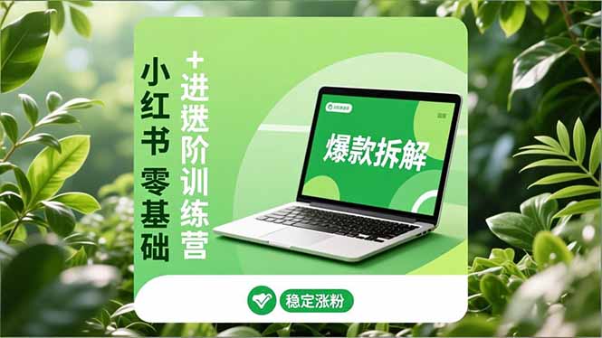 小红书零基础+高阶训练营:安全养号、爆款拆解、长效运营,实现稳定涨粉与变现-777网创网
