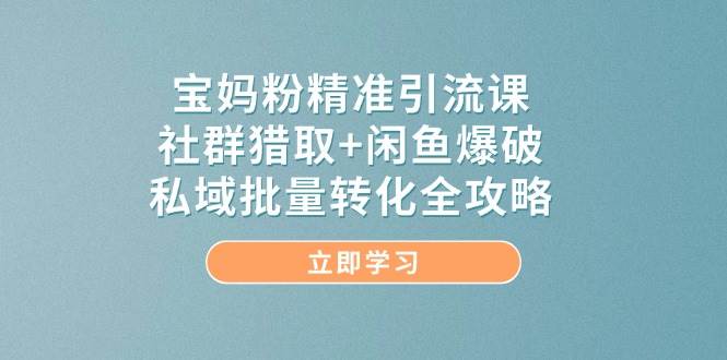 宝妈粉精准引流课,社群猎取+闲鱼爆破,私域批量转化全攻略-777网创网