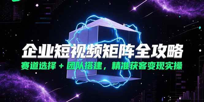 （15242期）企业短视频矩阵全攻略，赛道选择+团队搭建，精准获客变现实操-777网创网