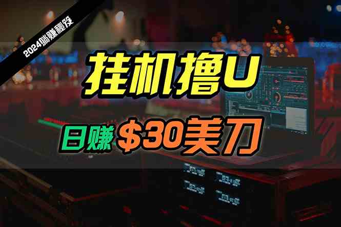 (10013期)日赚30美刀,2024最新海外挂机撸U内部项目,全程无人值守,可批量放大-777网创网