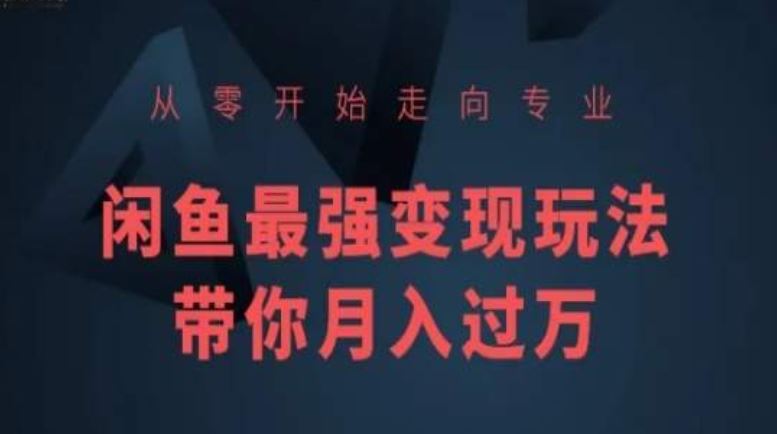从零开始走向专业,闲鱼最强变现玩法带你月入过万-777网创网