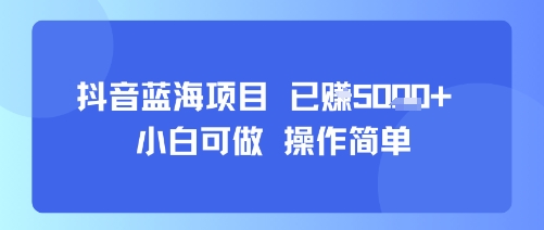 抖音蓝海项目，小白可做，操作简单，可批量制作，已挣5k+-777网创网