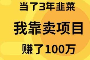 （10149期）当了3年韭菜，我靠卖项目赚了100万-777网创网