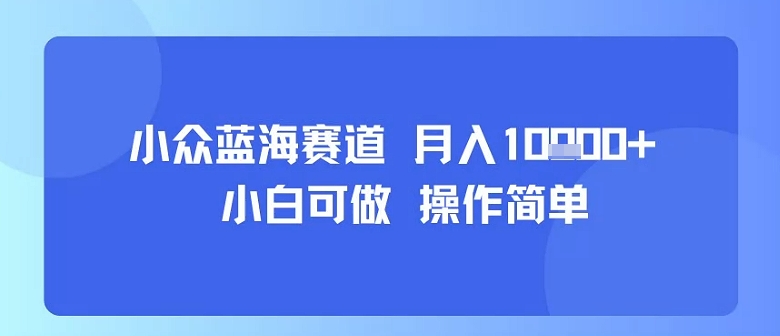 小众蓝海赛道，小白可做，操作简单，每天30分钟，月入1W+-777网创网