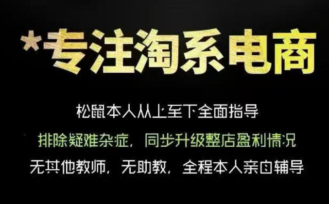松鼠会电商VIP课程，从基础布局到高阶优化，助你掌握淘宝运营逻辑，提升店铺流量与转化（更新1015）-777网创网