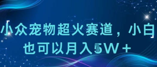 小众宠物超火赛道,小白也可以月入1w+