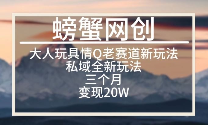 大人玩具情Q用品赛道私域全新玩法,三个月变现20W,老项目新思路【揭秘】
