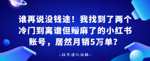 谁再说没钱途！我找到了两个冷门到离谱但賺麻了的小红书账号，居然月销5W单？-777网创网