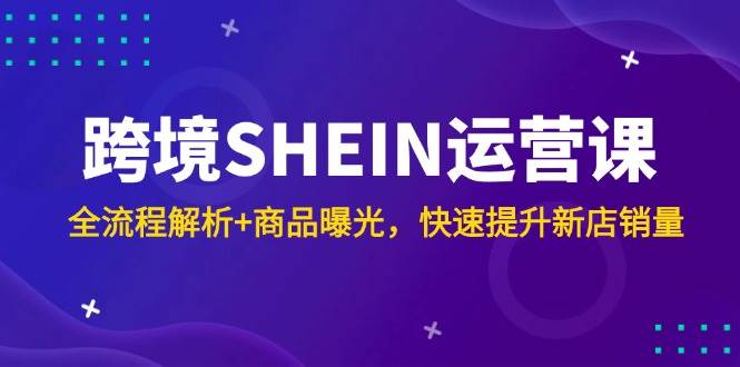 （14832期）跨境SHEIN运营课，全流程解析+商品曝光，快速提升新店销量-777网创网