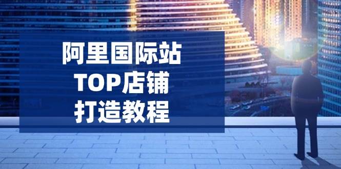 （14269期）阿里国际站TOP店铺打造教程：涵盖平台到高阶，解决运营难题，提升询盘-777网创网