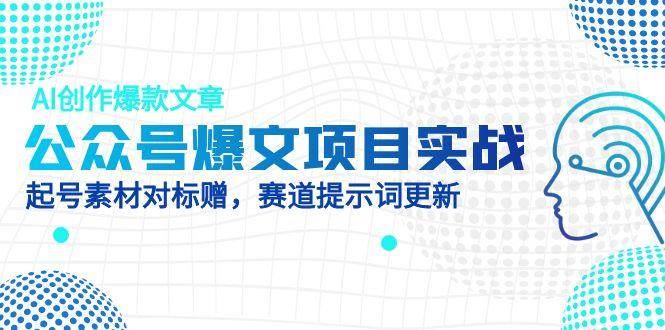 （14709期）公众号爆文项目实战，AI创作爆款文章，起号素材对标赠（附赛道AI提示词）-777网创网