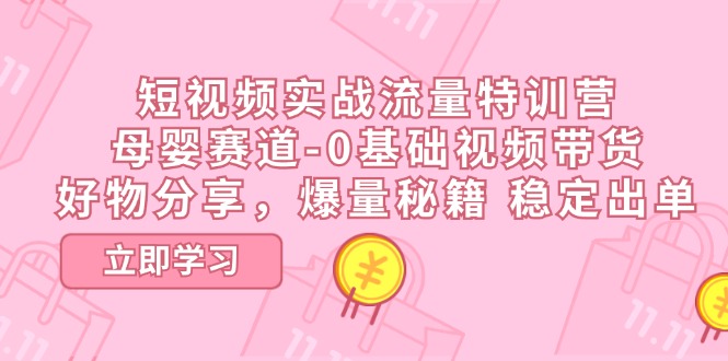 （11373期）短视频实战流量特训营，母婴赛道-0基础带货，好物分享，爆量秘籍 稳定出单-777网创网