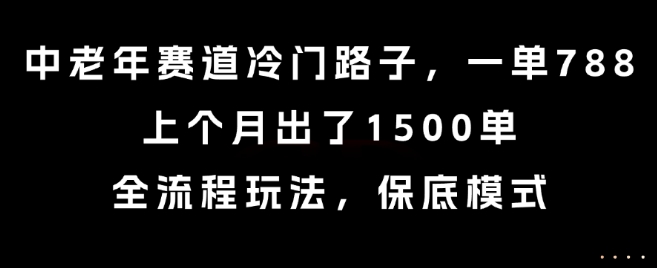 中老年赛道冷门路子,一单788,上个月出了1500单,全流程玩法,保底模式【揭秘】-777网创网