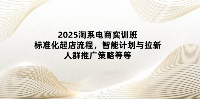（14522期）2025淘系电商实训班：标准化起店流程，智能计划与拉新，人群推广策略等等-777网创网