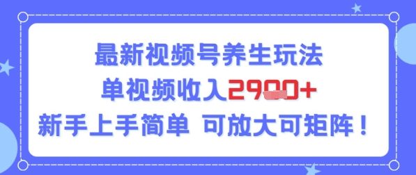 视频号养生玩法，单视频收入2.9k，新手上手简单-777网创网