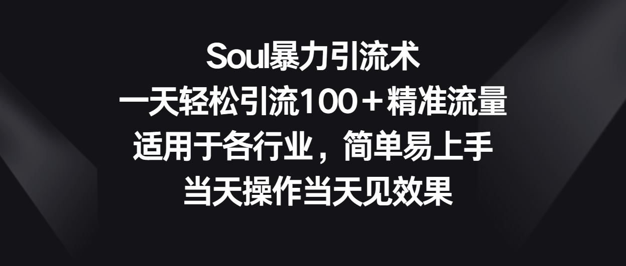 Soul暴力引流术，一天轻松引流100＋精准流量，适用于各行业，简单易上手！-777网创网