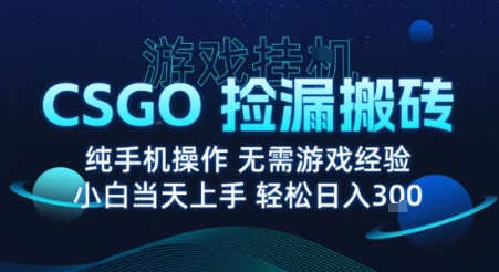 8月最新游戏搬砖，CSGO纯挂G，不需要玩游戏，实现真挂G，月入1W+【揭秘】-777网创网