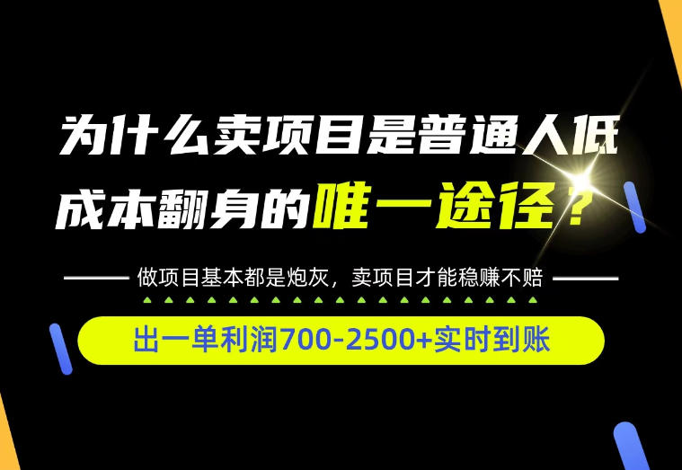 普通人如何靠互联网賺取自己的第一桶金!全类目实操型教学,看完你全都懂了!【揭秘】-777网创网
