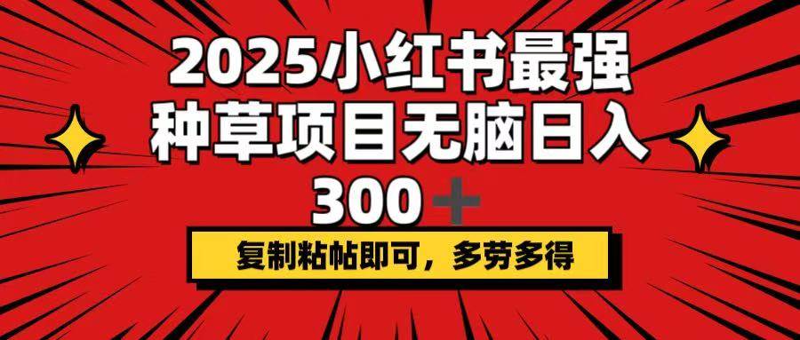(14375期)2025小红书最强种草项目,无脑日入300+,复制粘帖即可,多劳多得-777网创网