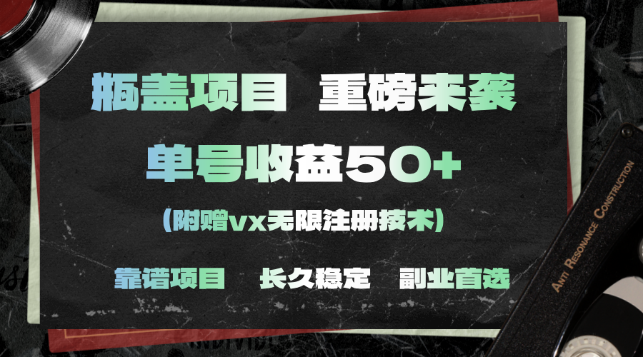 （11381期）一分钟一单，一单利润30+，适合小白操作-777网创网