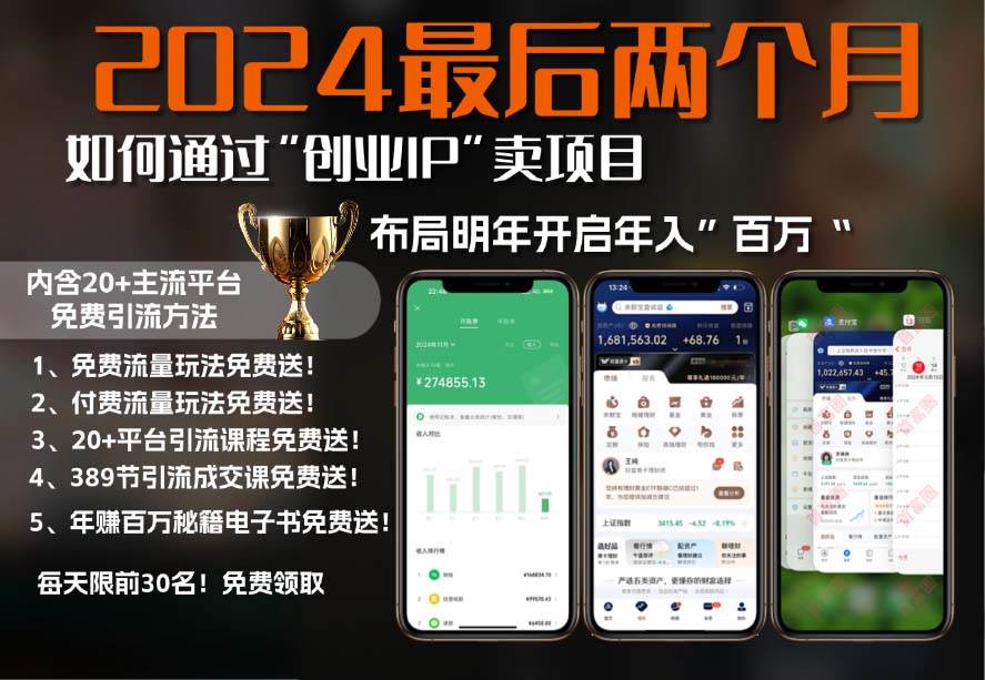 图片[1]-（13322期）2024最后两个月如何通过”创业IP“卖项目年入”百万“,创业IP+最强引流…-777网创网