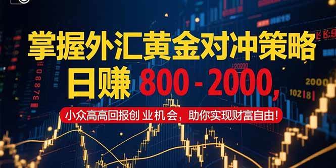 (15198期)掌握外汇黄金对冲策略,日赚 800 – 2000,小众高回报创业机会,助你实…-777网创网