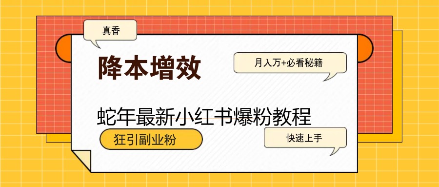 蛇年最新小红书爆粉教程，狂引副业粉，月入万+必看-777网创网