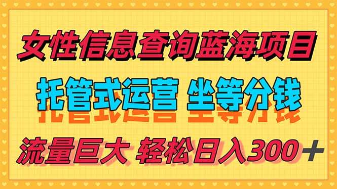 （15216期）稳定日入300＋，小众信息查询蓝海项目，全程懒人式托管，解放你的时间-777网创网