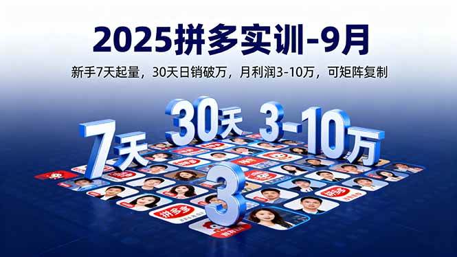 （16008期）2025拼多多实训-9月：新手7天起量,30天日销破万,月利润3-10万,可矩阵复制-777网创网