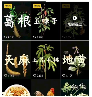抖音中草药赛道，用AI做中草药故事视频，45条作品涨粉13W，橱窗带货猛猛出单-777网创网