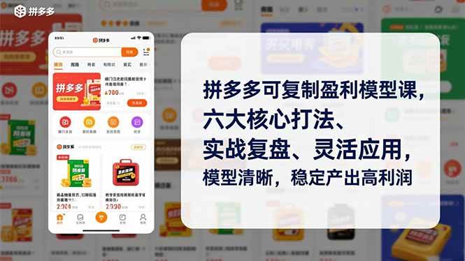 (16952期)拼多多可复制盈利模型课,六大核心打法、实战复盘、灵活应用,模型清晰,稳定产出高利润-777网创网
