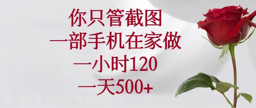 (14248期)你只管截图,一部手机在家做,一小时120,一天500+-777网创网