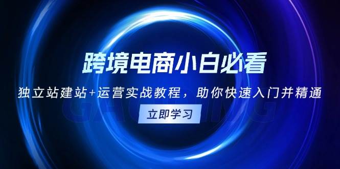 （13503期）跨境电商小白必看！独立站建站+运营实战教程，助你快速入门并精通-777网创网
