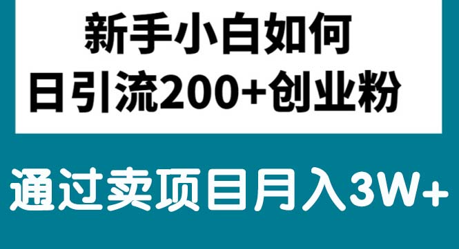 (10843期)新手小白日引流200+创业粉,通过卖项目月入3W+-777网创网
