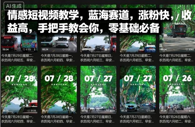 情感短视频教学，蓝海赛道，涨粉快，收益高，手把手教会你，零基础必备-777网创网