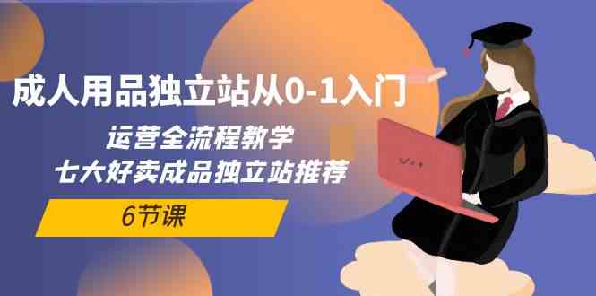 （10082期）成人用品独立站从0-1入门，运营全流程教学，七大好卖成品独立站推荐-6节课-777网创网