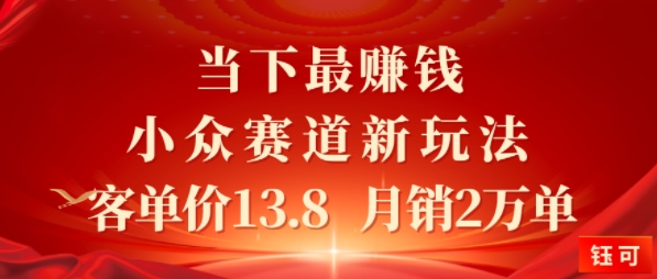 当下最挣钱的小众赛道 小红书新玩法10个作品涨粉3W,客单价13.8 月销2W单