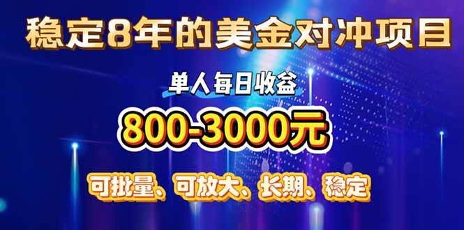 (15782期)稳定8年的美金对冲创业项目,单人每日收益800-3000,小众暴力项目-777网创网
