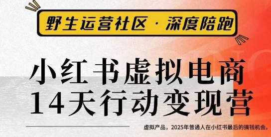 小红书虚拟电商14天变现训练营3.0，虚拟产品，2025年普通人在小红书最后的搞钱机会-777网创网