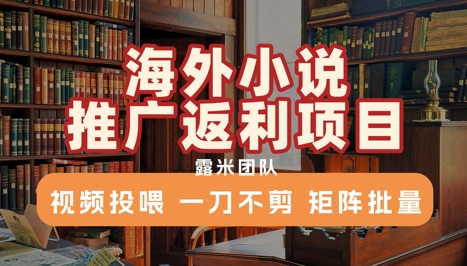 海外小说推广返利项目,视频投喂, 一刀不剪,矩阵批量-777网创网
