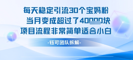 每天稳定引流30个人 当月变成超过了4个W项目流程非常简单适合小白-777网创网