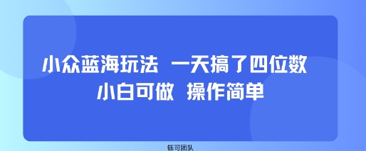 小众蓝海玩法 一天搞了四位数 小白可做 操作简单-777网创网