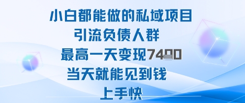 2025年小白都能做的私域项目引流负债人群最高一天变现1k+高变现难度低当天就能见到钱上手快-777网创网