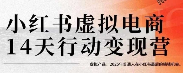 小红书虚拟电商14天变现训练营,虚拟产品,2025年普通人在小红书最后的搞钱机会