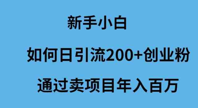 (9668期)新手小白如何日引流200+创业粉通过卖项目年入百万-777网创网