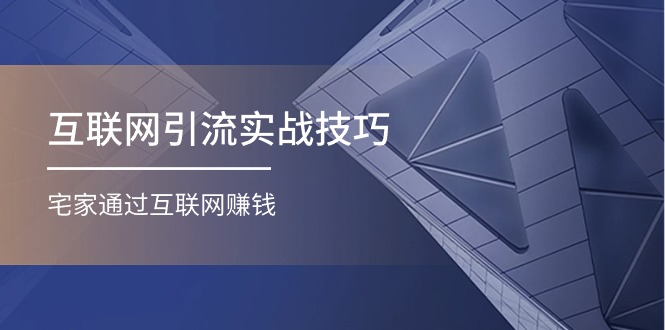（11108期）互联网引流实操技巧(适合微商，吸引宝妈)，宅家通过互联网赚钱（17节）-777网创网